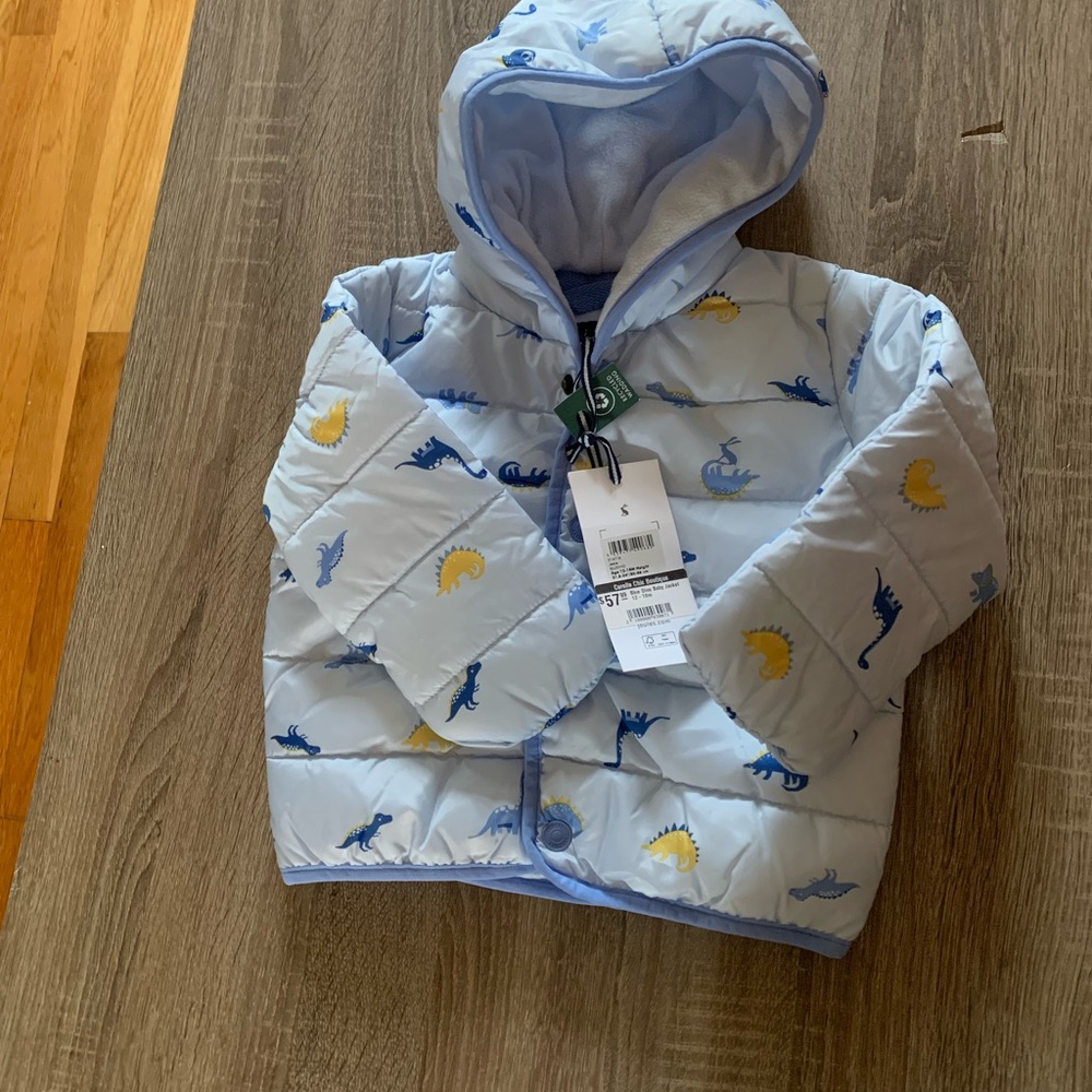 Blue Dinosaur Print Puffer Jacket